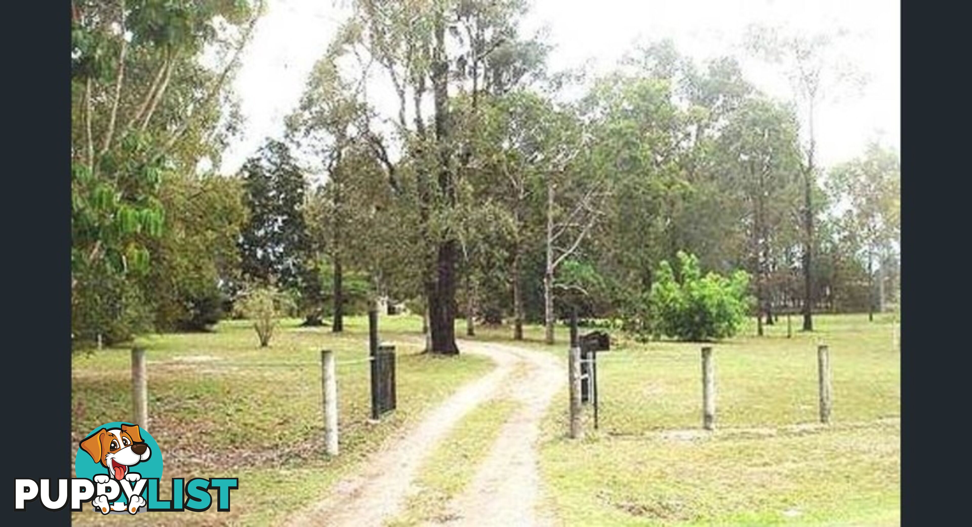 185 Hubner Road Park Ridge QLD 4125