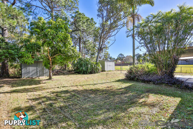 18 Anthony Street Kingston QLD 4114