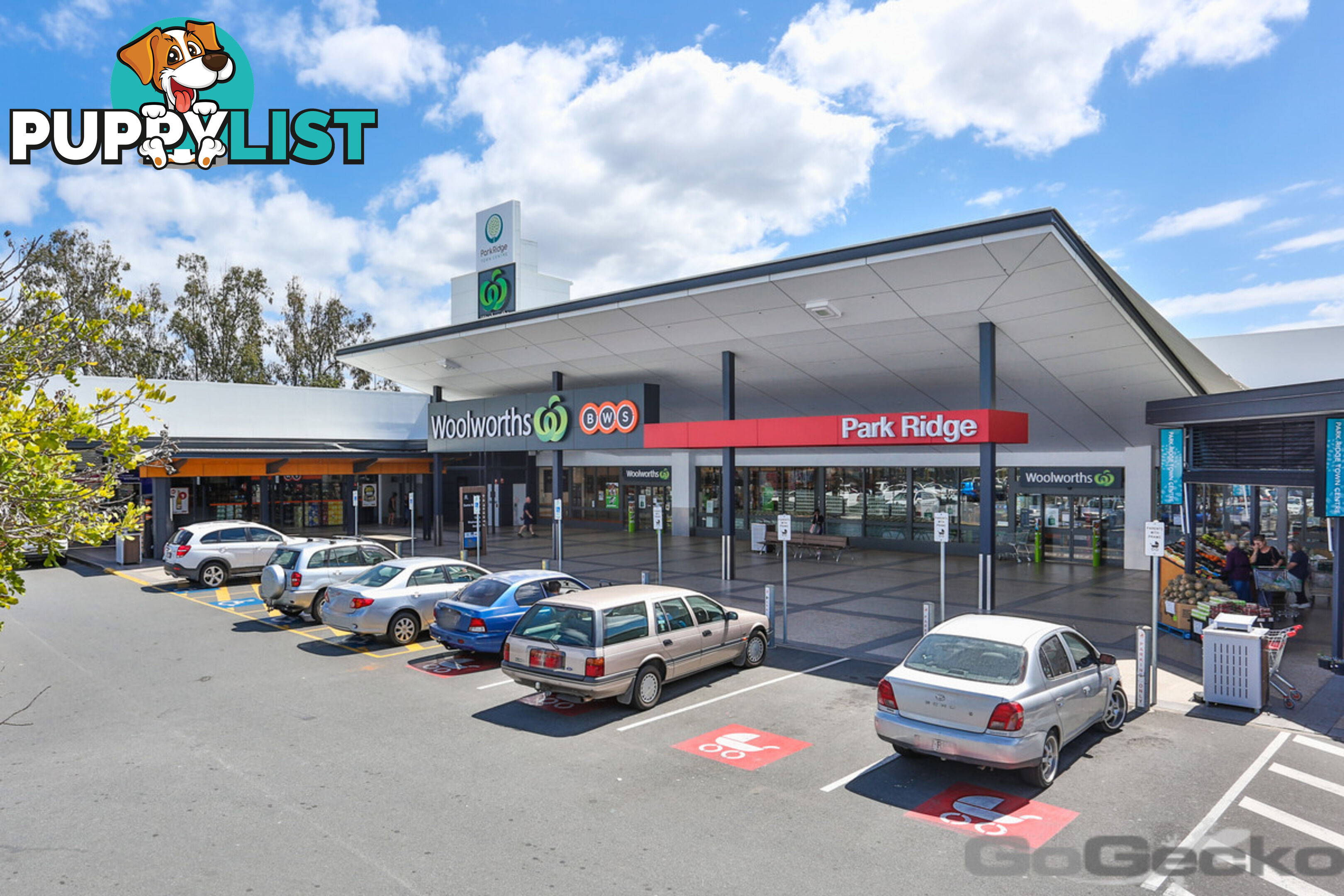 3 Mount Roberts Street Park Ridge QLD 4125