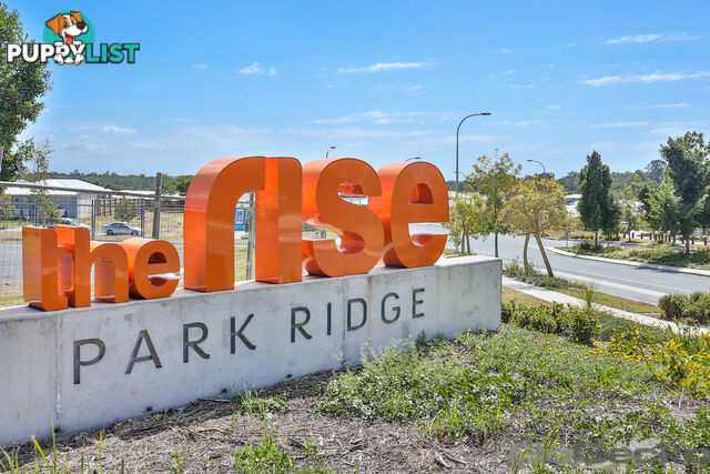 3 Mount Roberts Street Park Ridge QLD 4125