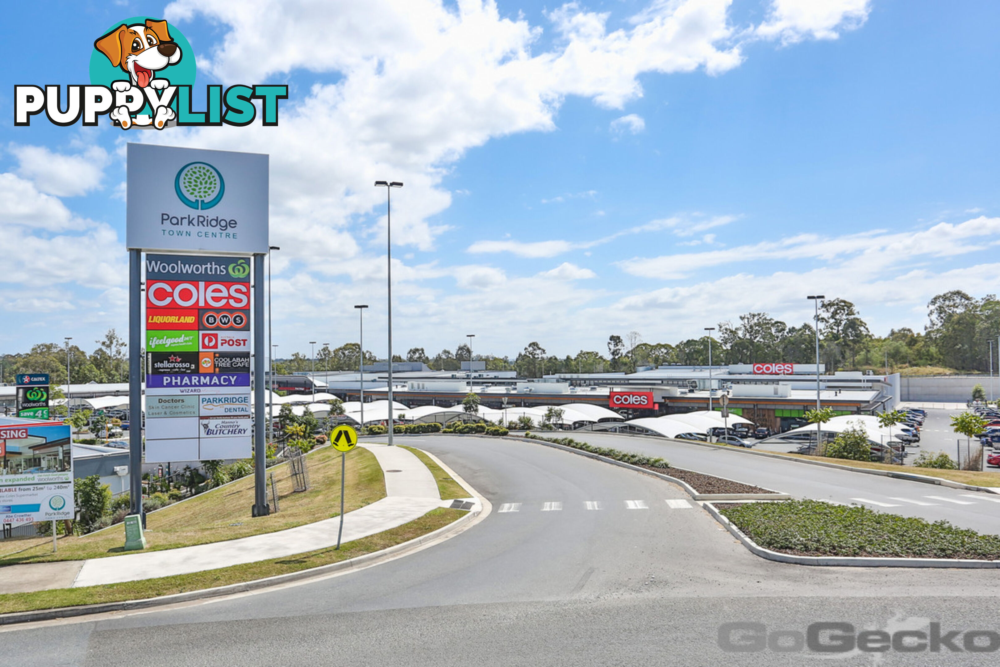 3 Mount Roberts Street Park Ridge QLD 4125