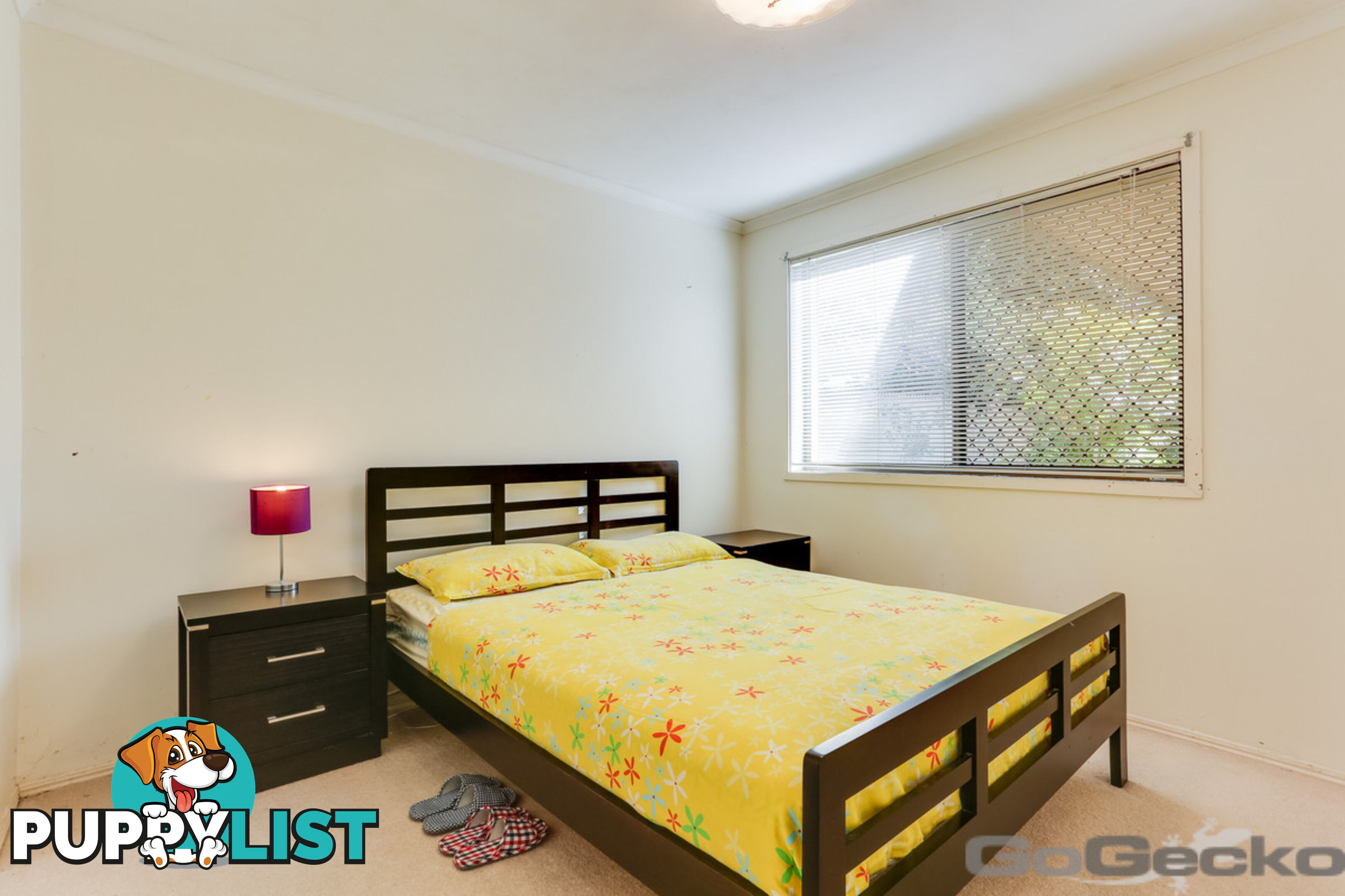 5 Headland Street Sunnybank QLD 4109