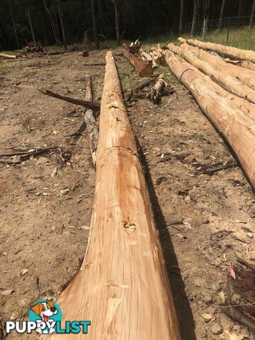 Ironbark poles