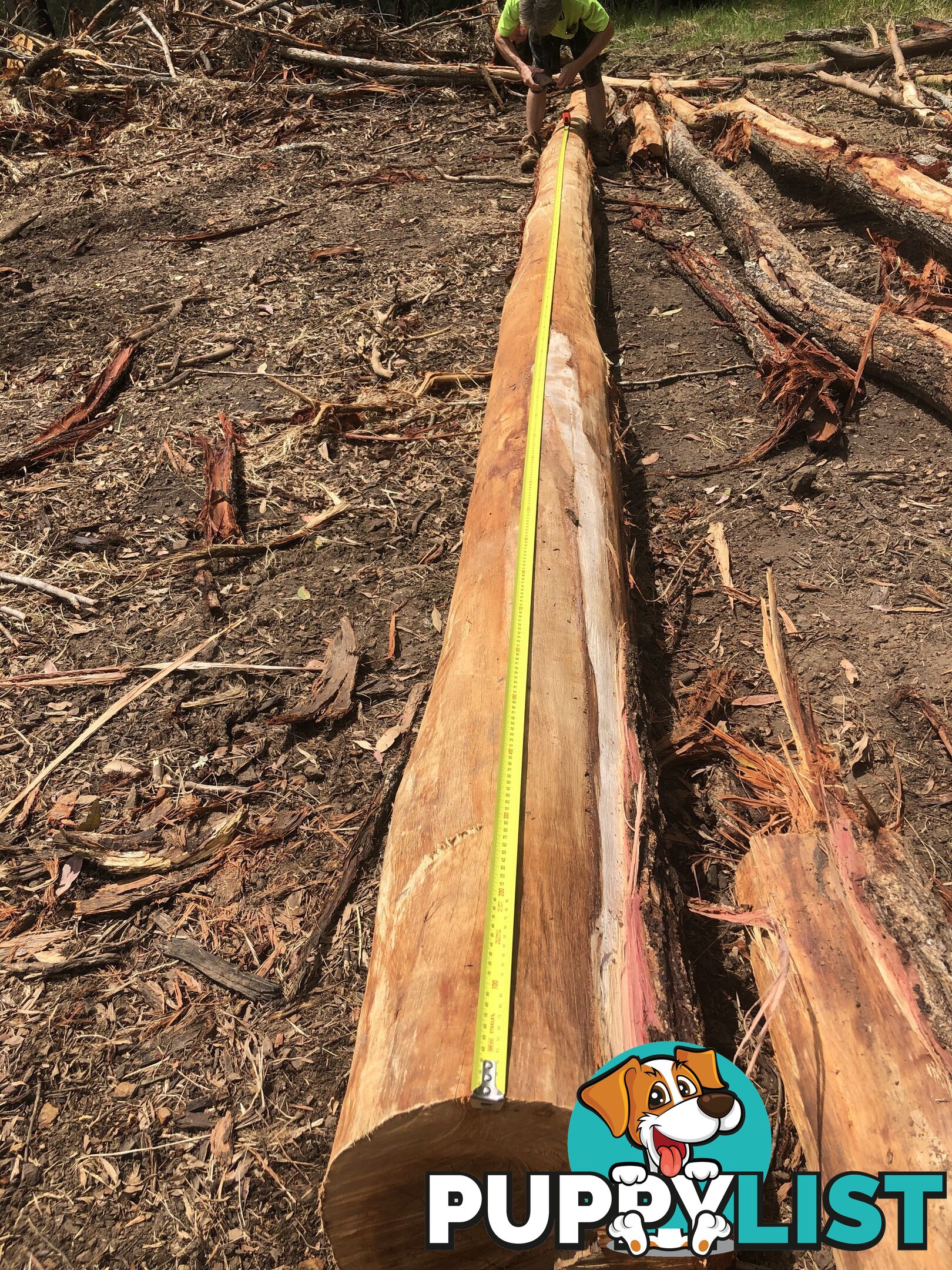 Ironbark poles