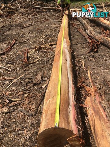 Ironbark poles