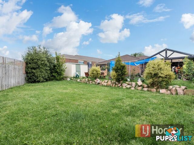 50 Harold Keys Drive NARRE WARREN VIC 3805