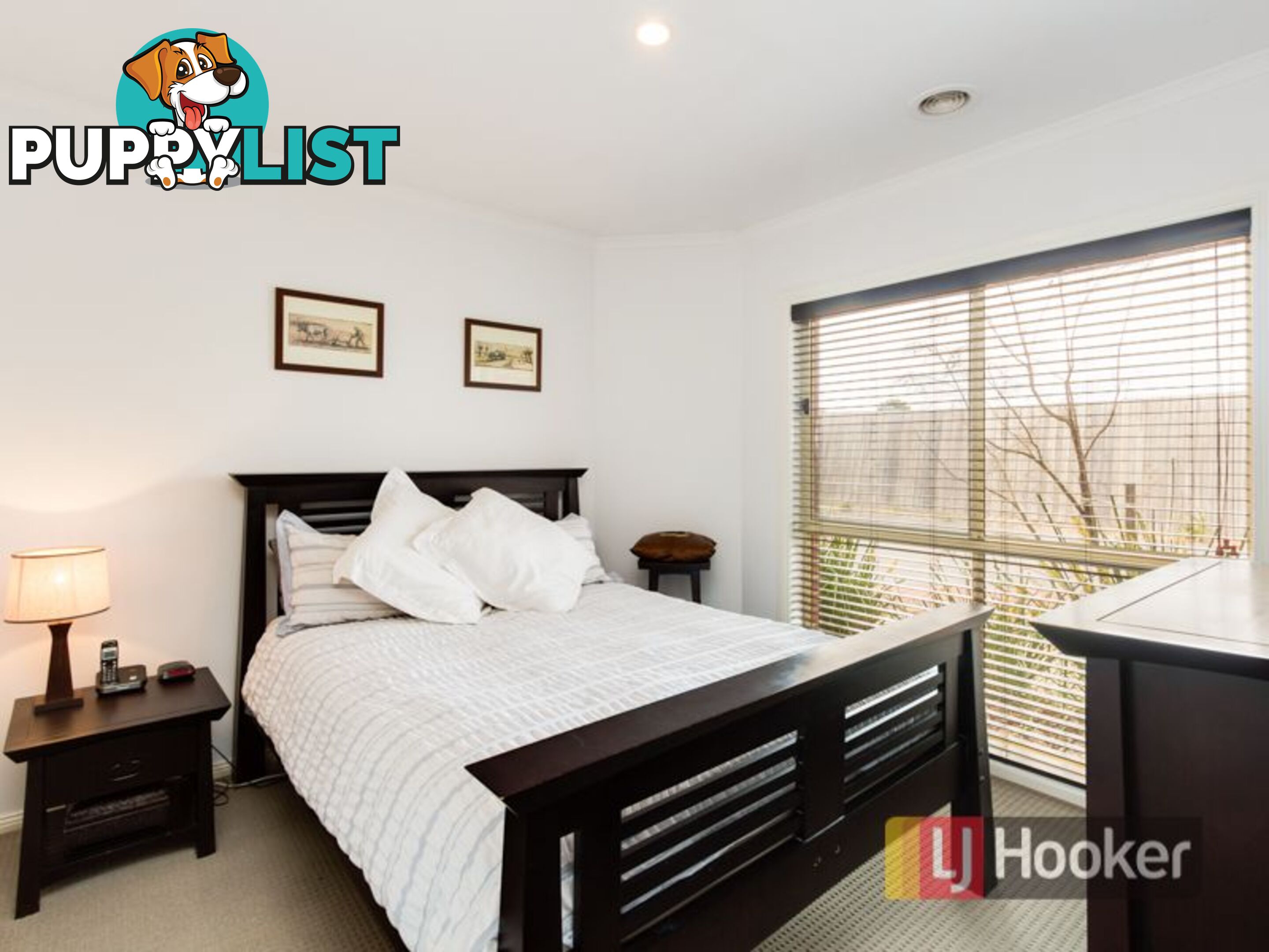 36 Gibson Street HALLAM VIC 3803