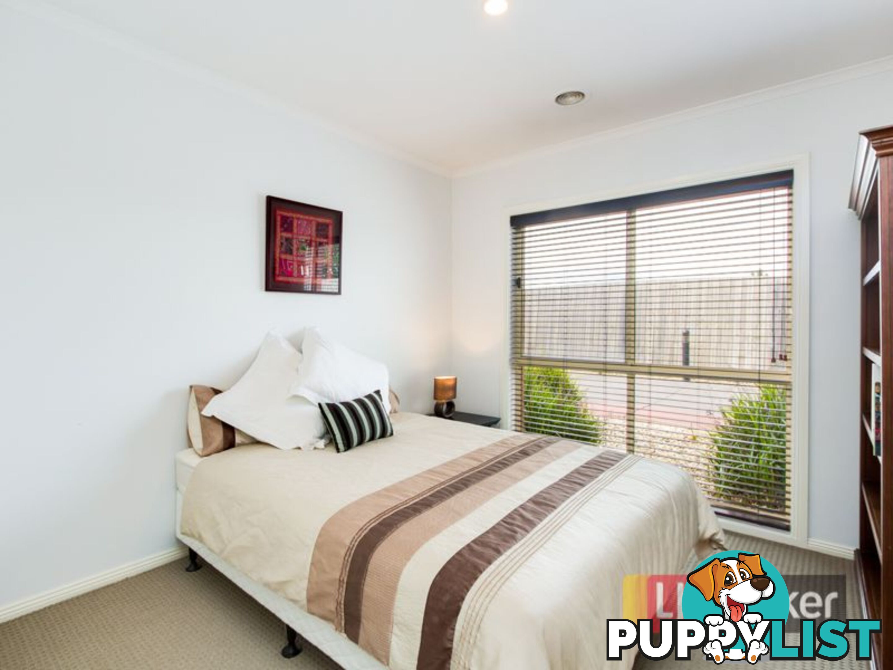 36 Gibson Street HALLAM VIC 3803