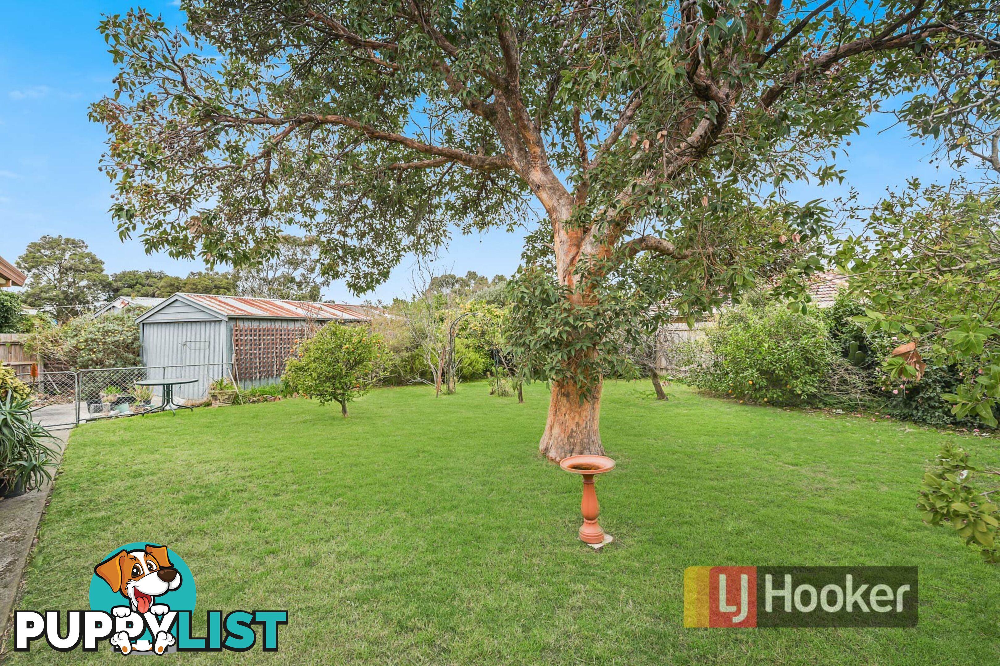 25 Sarona Street DANDENONG VIC 3175