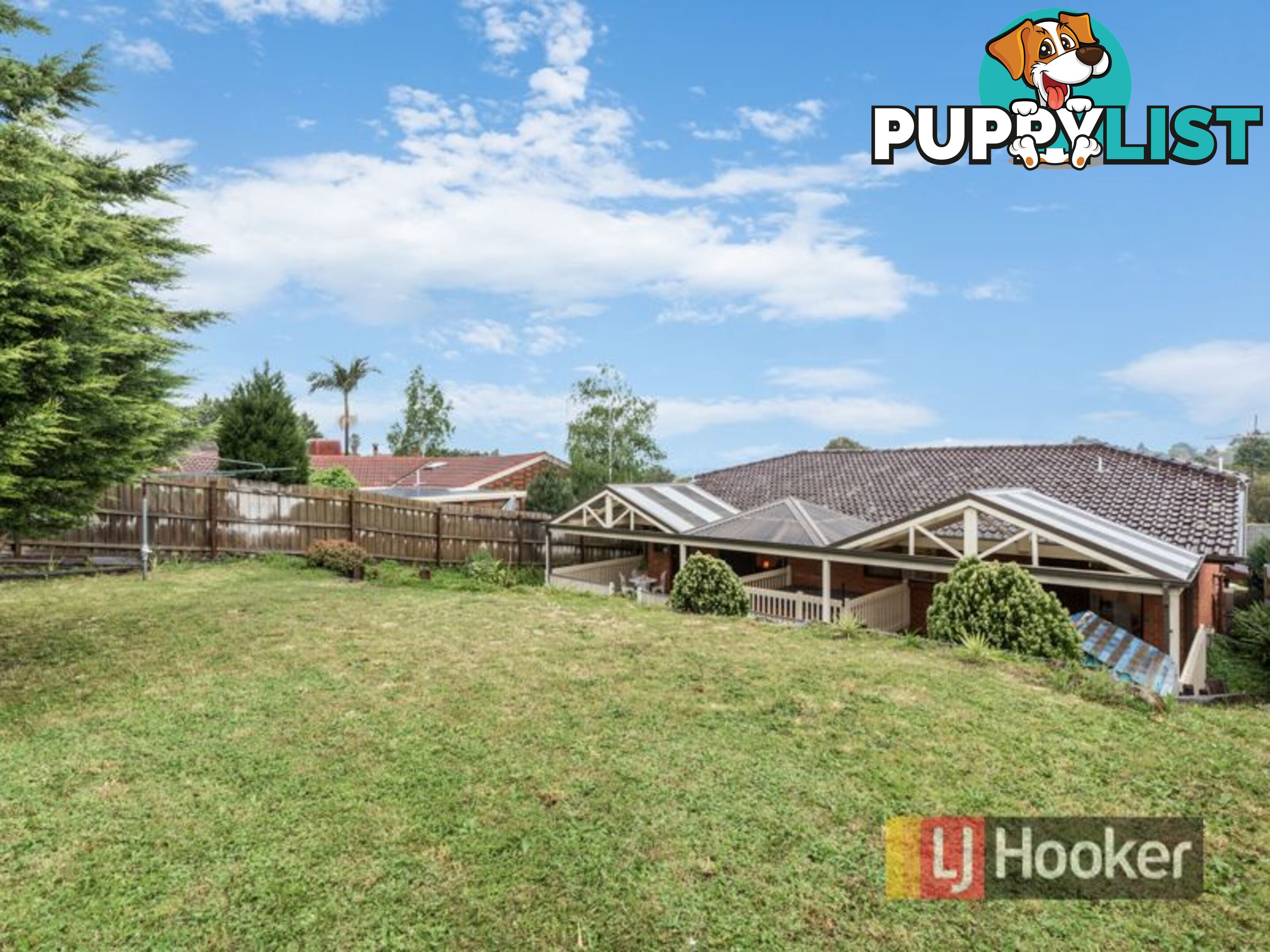 16 Lawson Way ENDEAVOUR HILLS VIC 3802