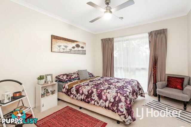 49A Alexander Avenue DANDENONG VIC 3175