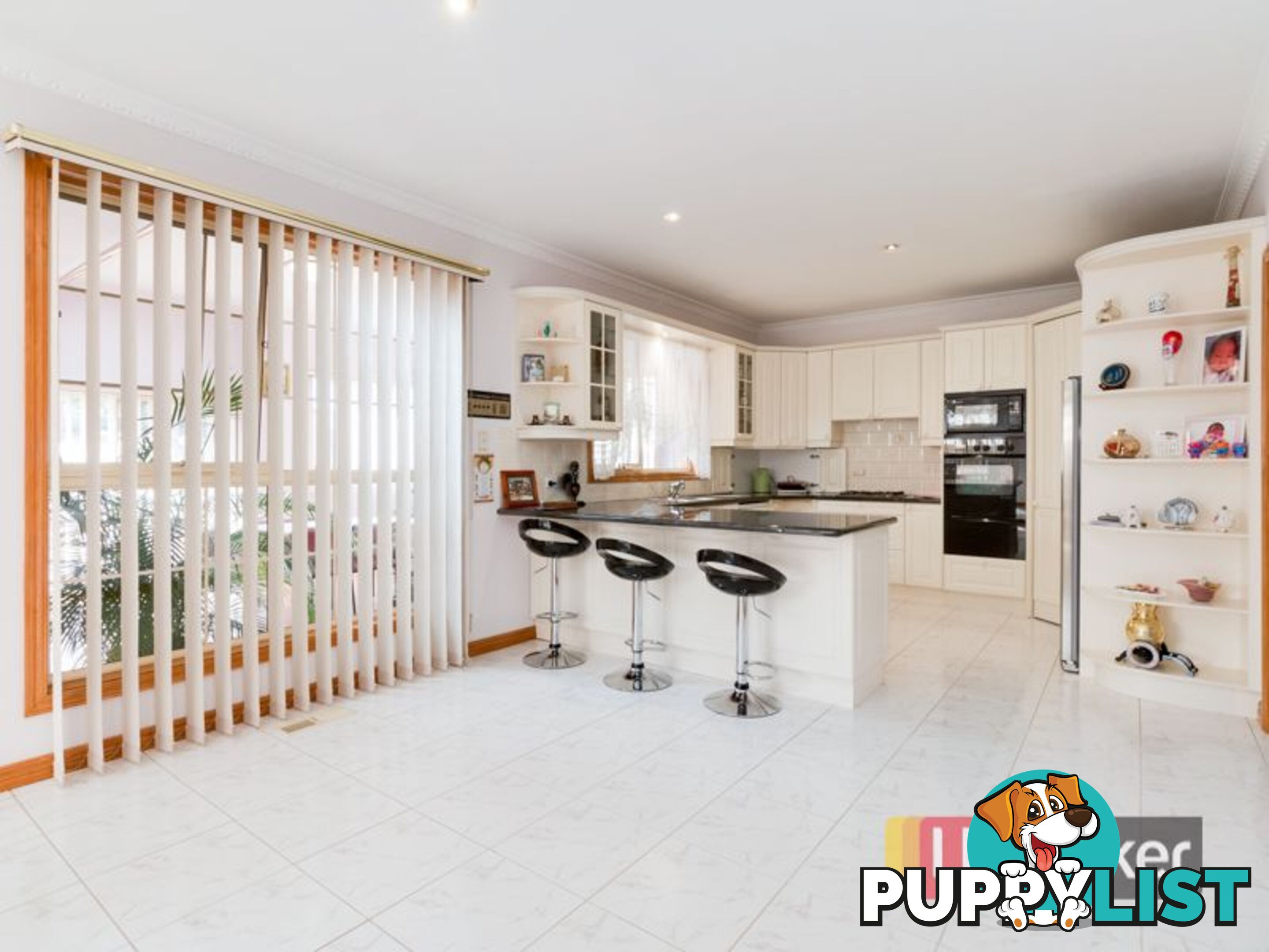 16 Barnsley Drive ENDEAVOUR HILLS VIC 3802