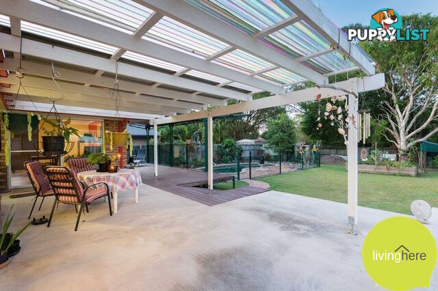 7 Lurnea Crescent MOUNTAIN CREEK QLD 4557