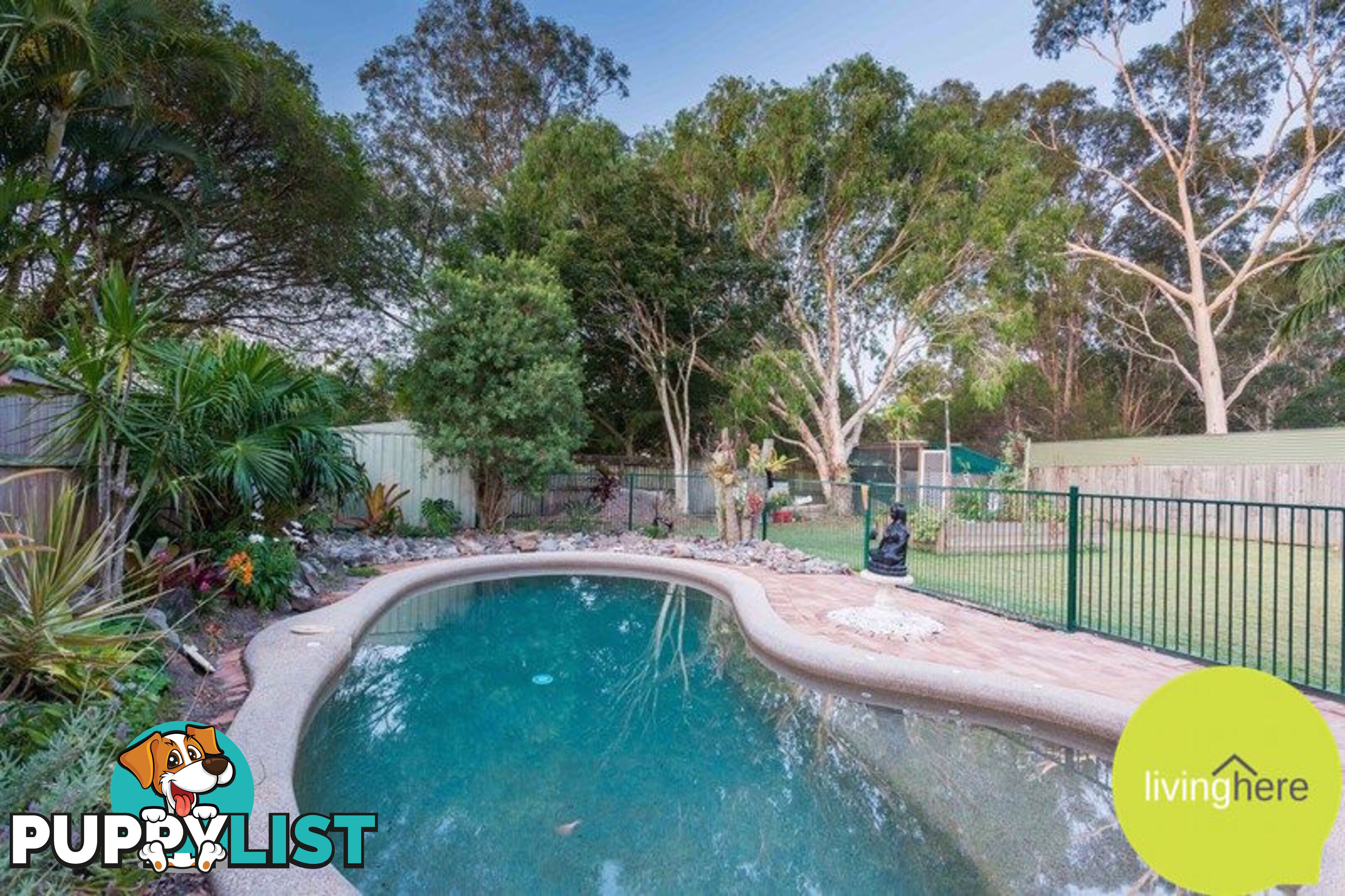 7 Lurnea Crescent MOUNTAIN CREEK QLD 4557