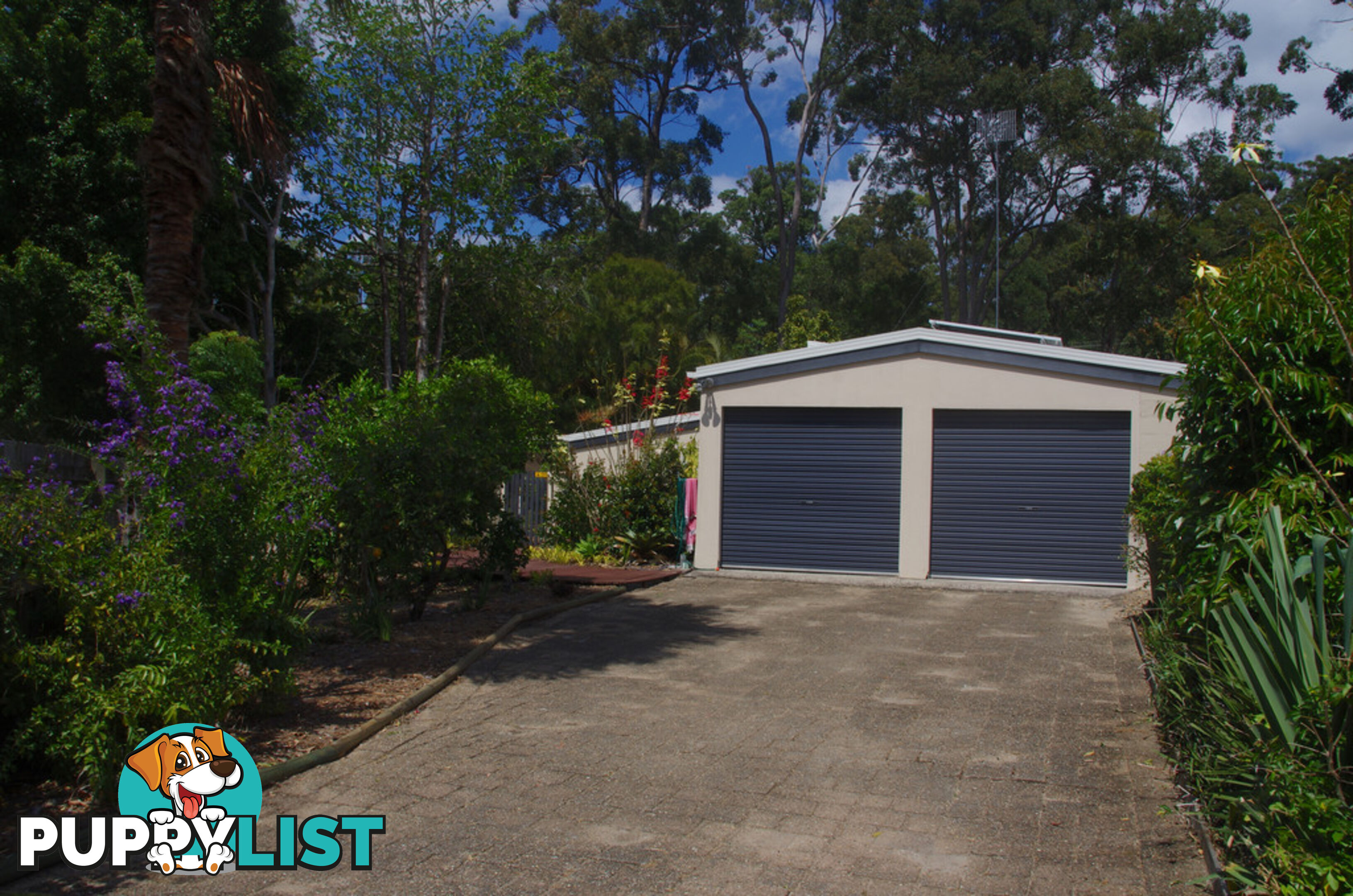 5 Griffith Avenue TEWANTIN QLD 4565