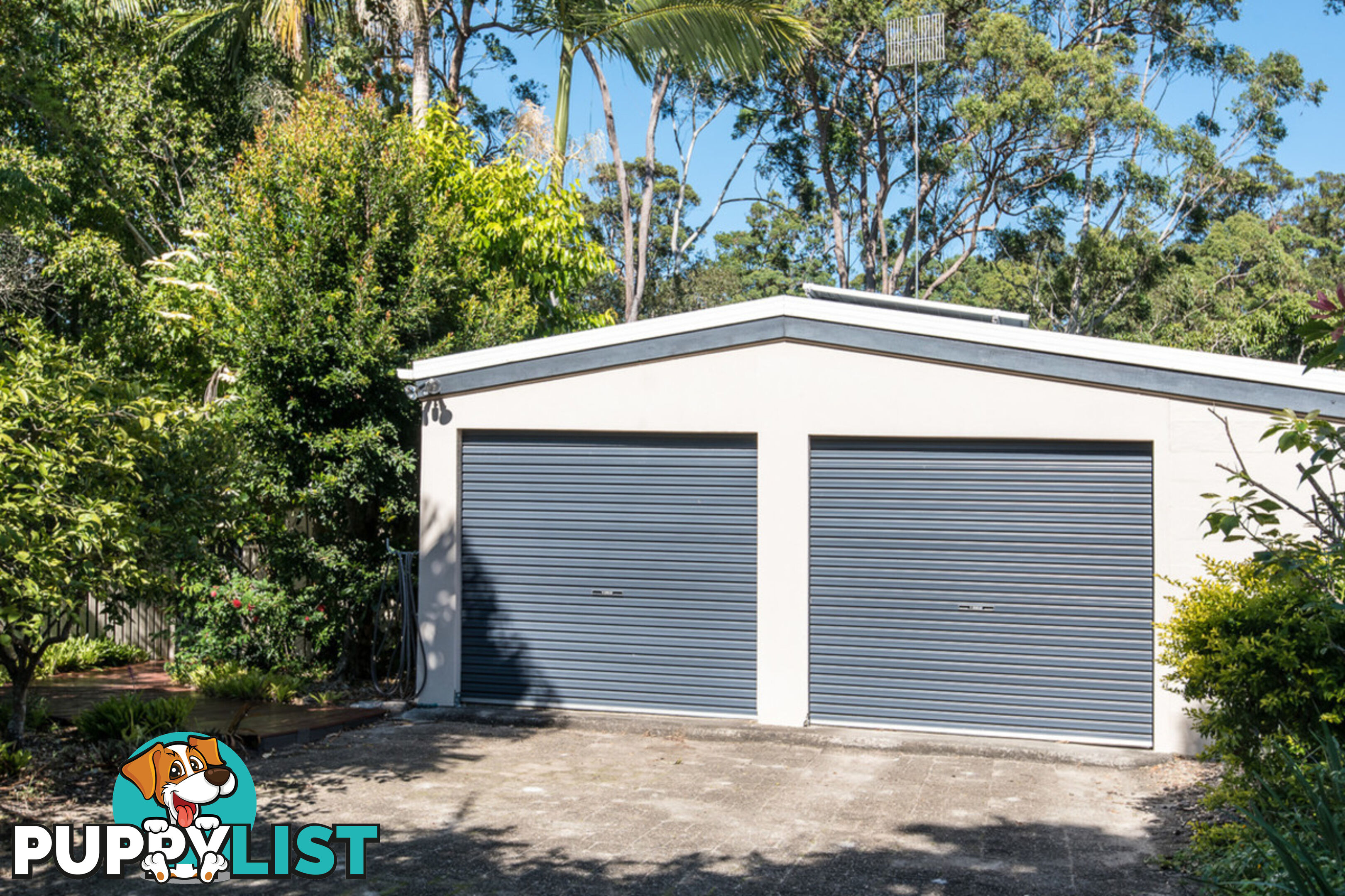 5 Griffith Avenue TEWANTIN QLD 4565