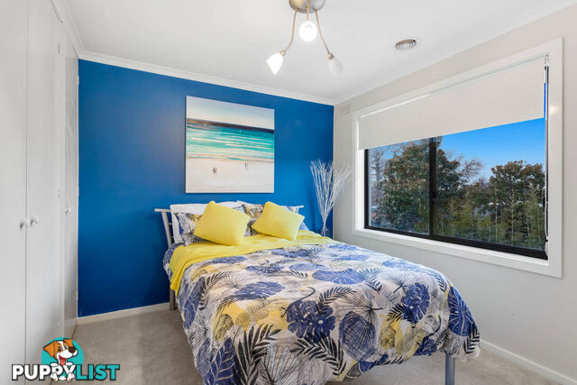 12 Menzies Close Frankston South VIC 3199