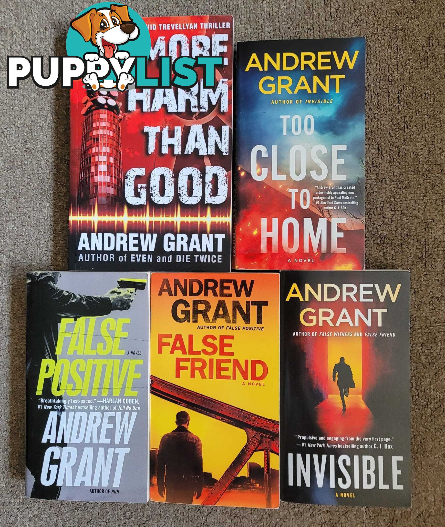 Andrew Grant Books - $4 each or all 5 for $15 - great holiday reading