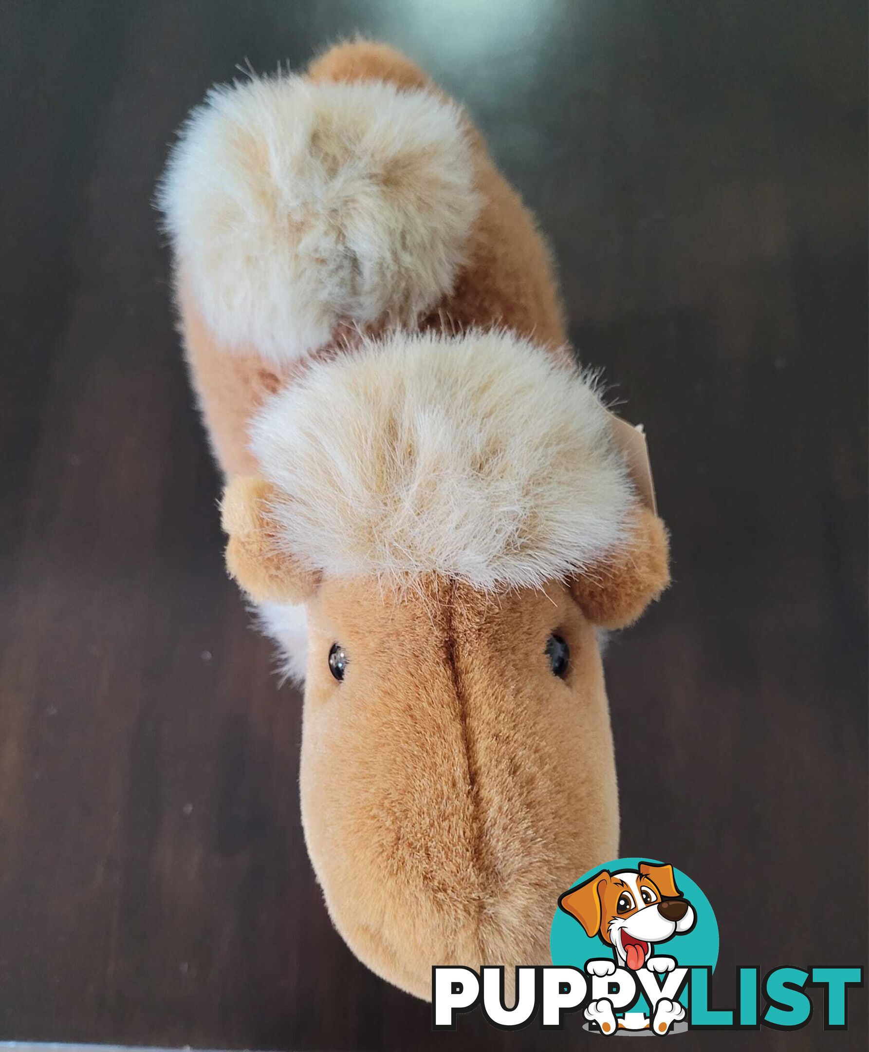 Lawrence the Camel Plush - brand new