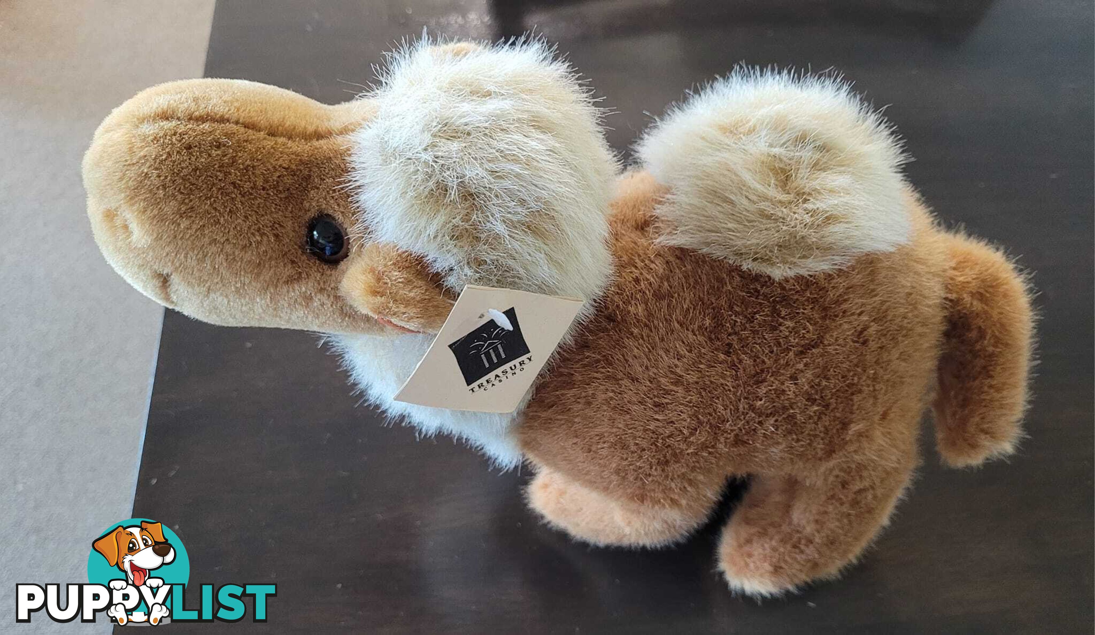 Lawrence the Camel Plush - brand new