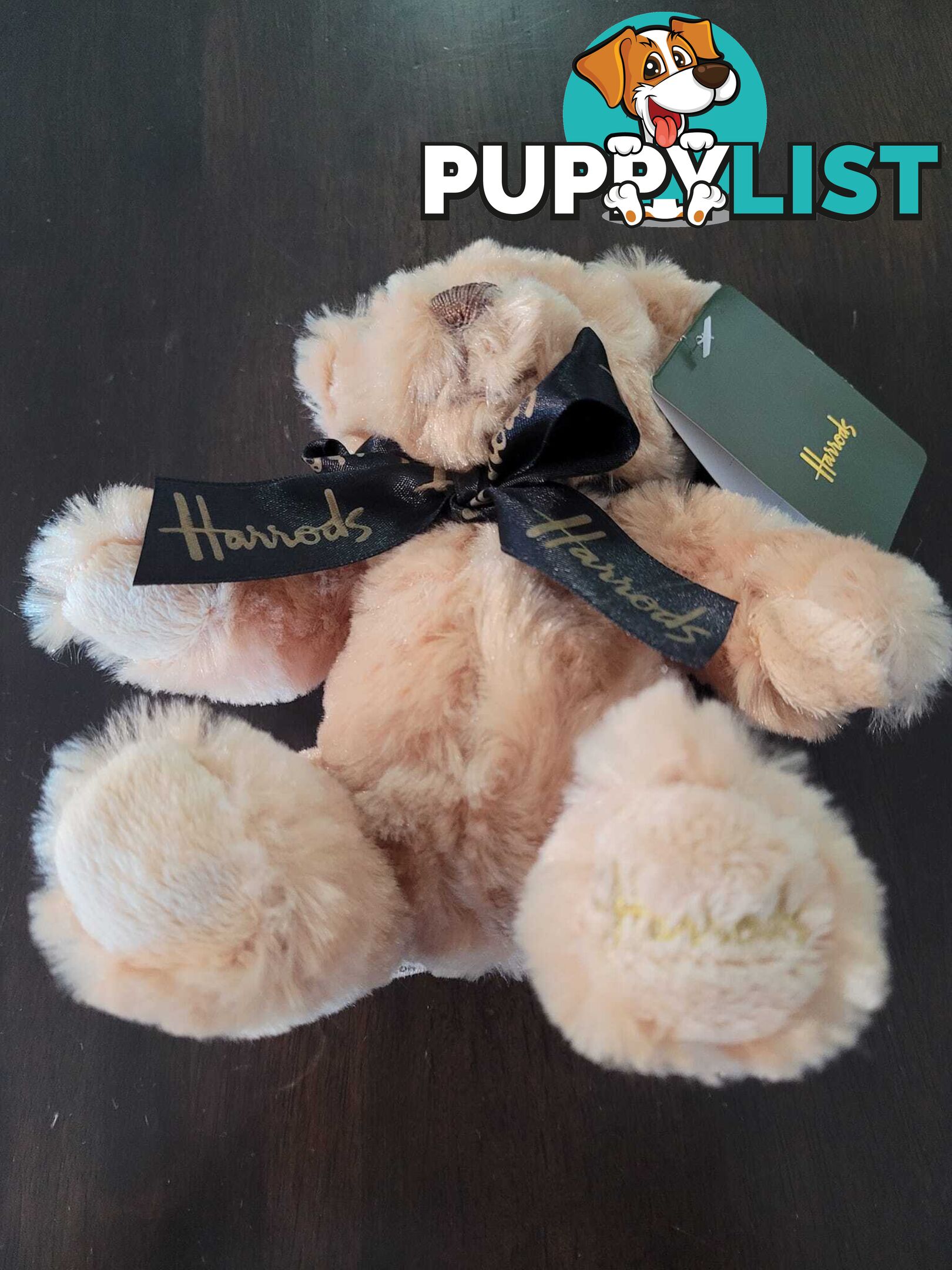 Harrods Jacob Bear Plush Small - brand new