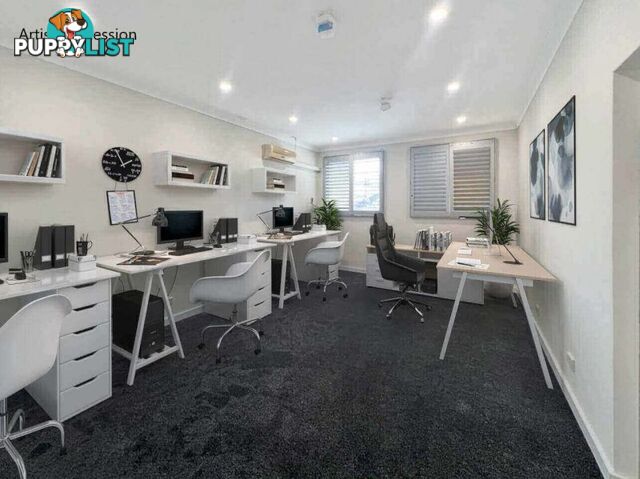 1 6a Gray Street Bondi Junction NSW 2022