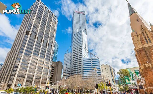 16 152-158 St Georges Terrace Perth WA 6000