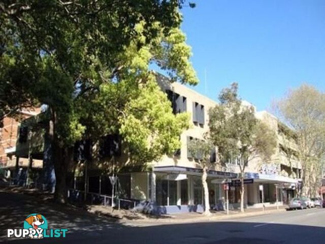 404 161 King Street NEWCASTLE NSW 2300