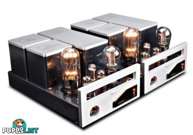 Cayin 9084D Mk2 Mono Block Power Amplifier