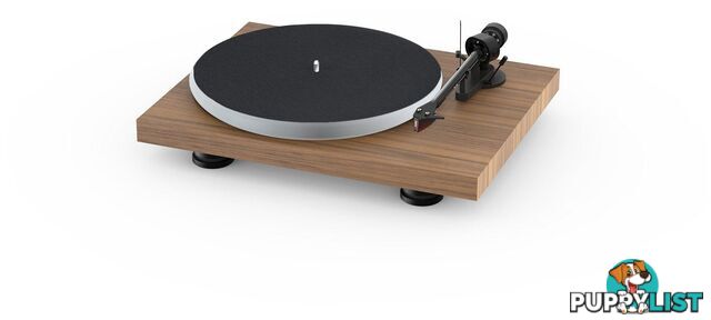 Pro-Ject Debut Carbon EVO Acryl Turntable (Walnut) with Ortofon 2M Red Cartridge