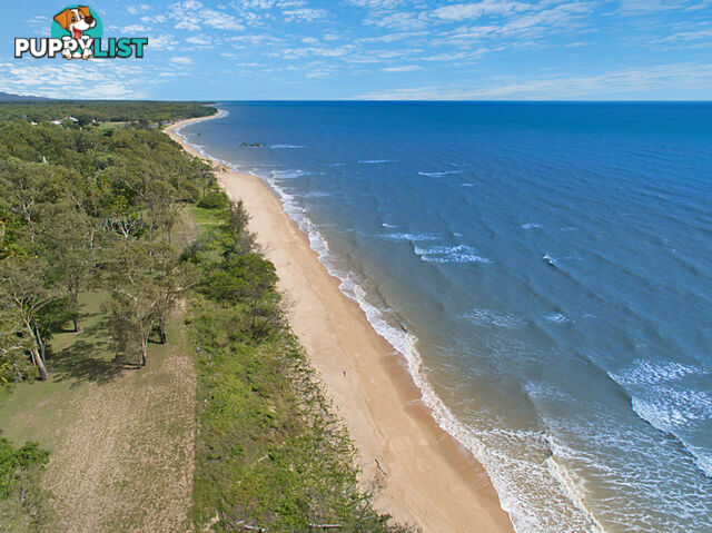 13 Beach Crt, 129 Mystic Ave BALGAL BEACH QLD 4816
