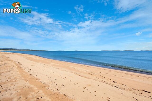 61 Augusta Dr BALGAL BEACH QLD 4816