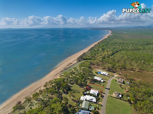 61 Augusta Dr BALGAL BEACH QLD 4816