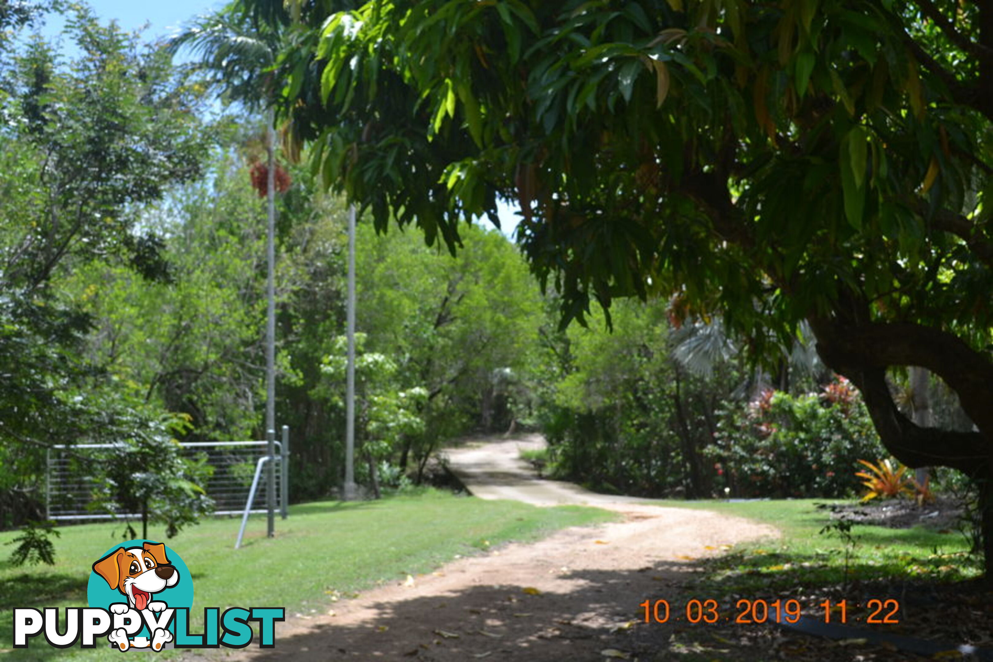 293 Ocean Parade BALGAL BEACH QLD 4816
