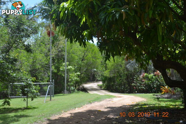293 Ocean Parade BALGAL BEACH QLD 4816