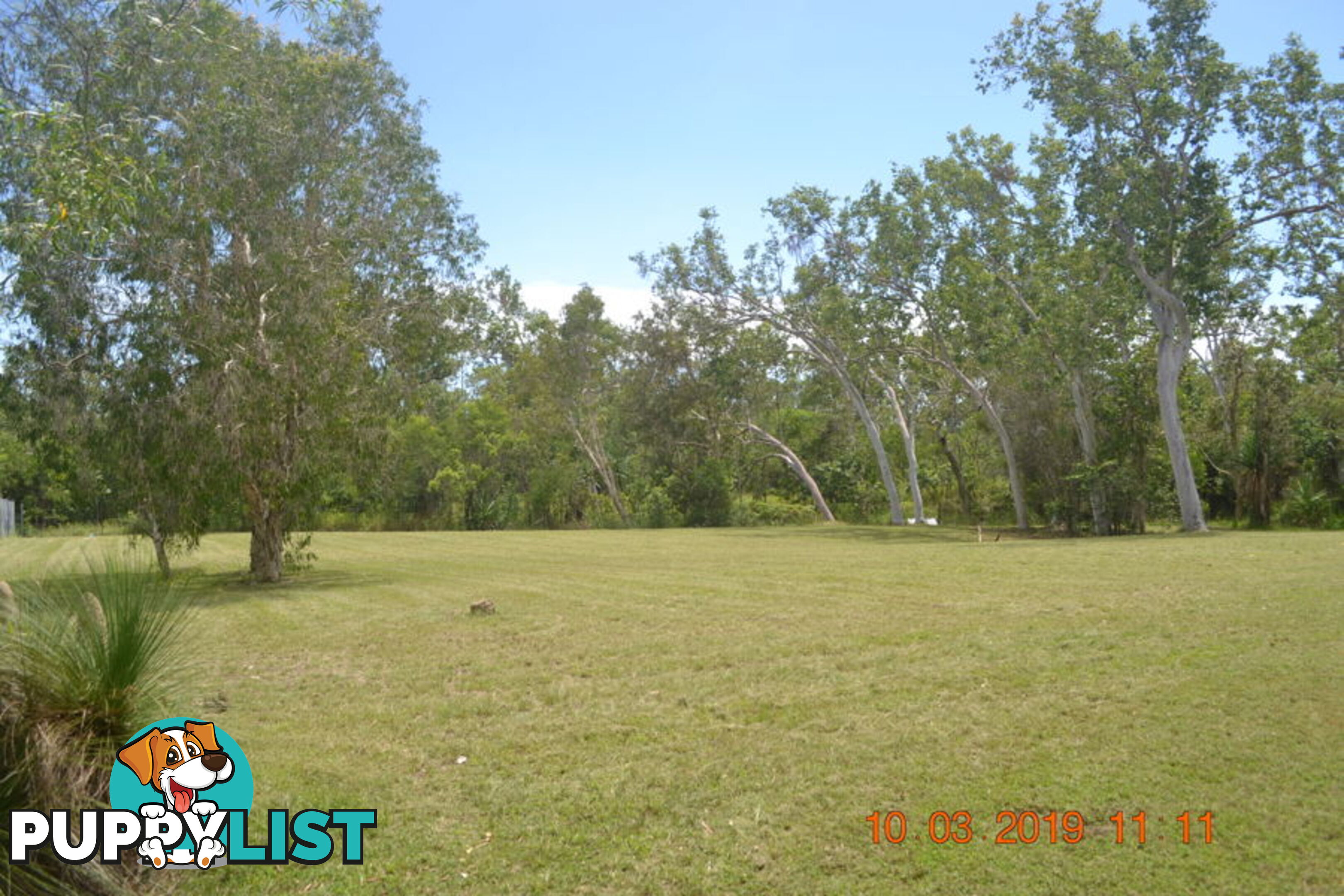 293 Ocean Parade BALGAL BEACH QLD 4816