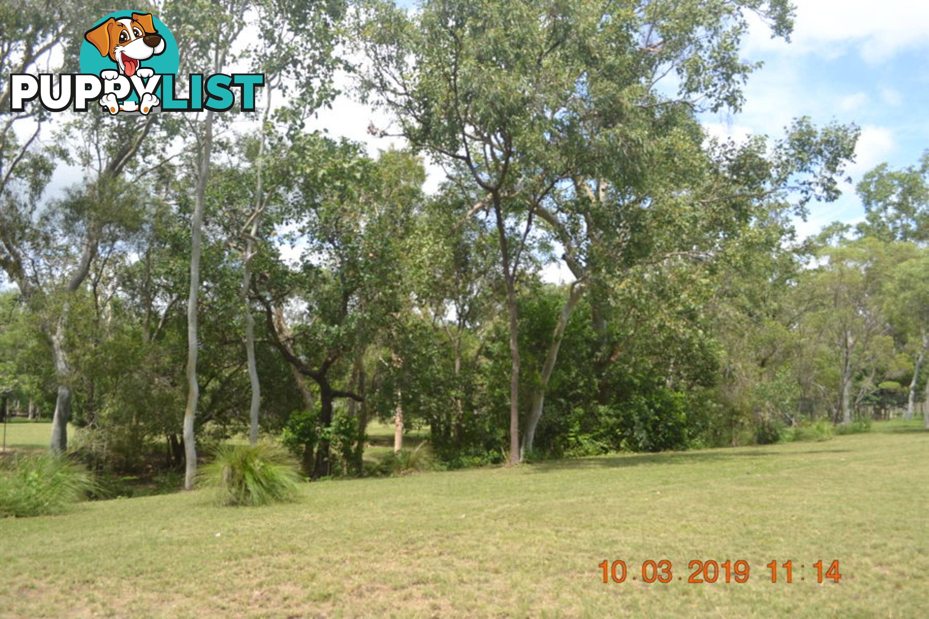 293 Ocean Parade BALGAL BEACH QLD 4816
