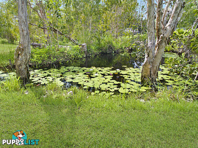 293 Ocean Parade BALGAL BEACH QLD 4816