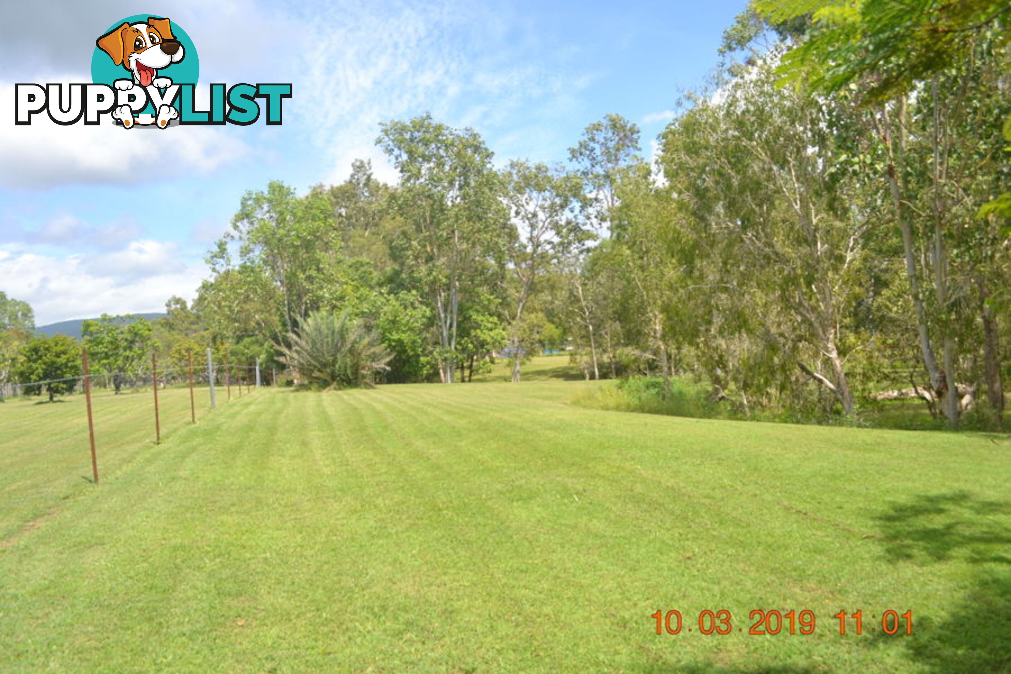 293 Ocean Parade BALGAL BEACH QLD 4816