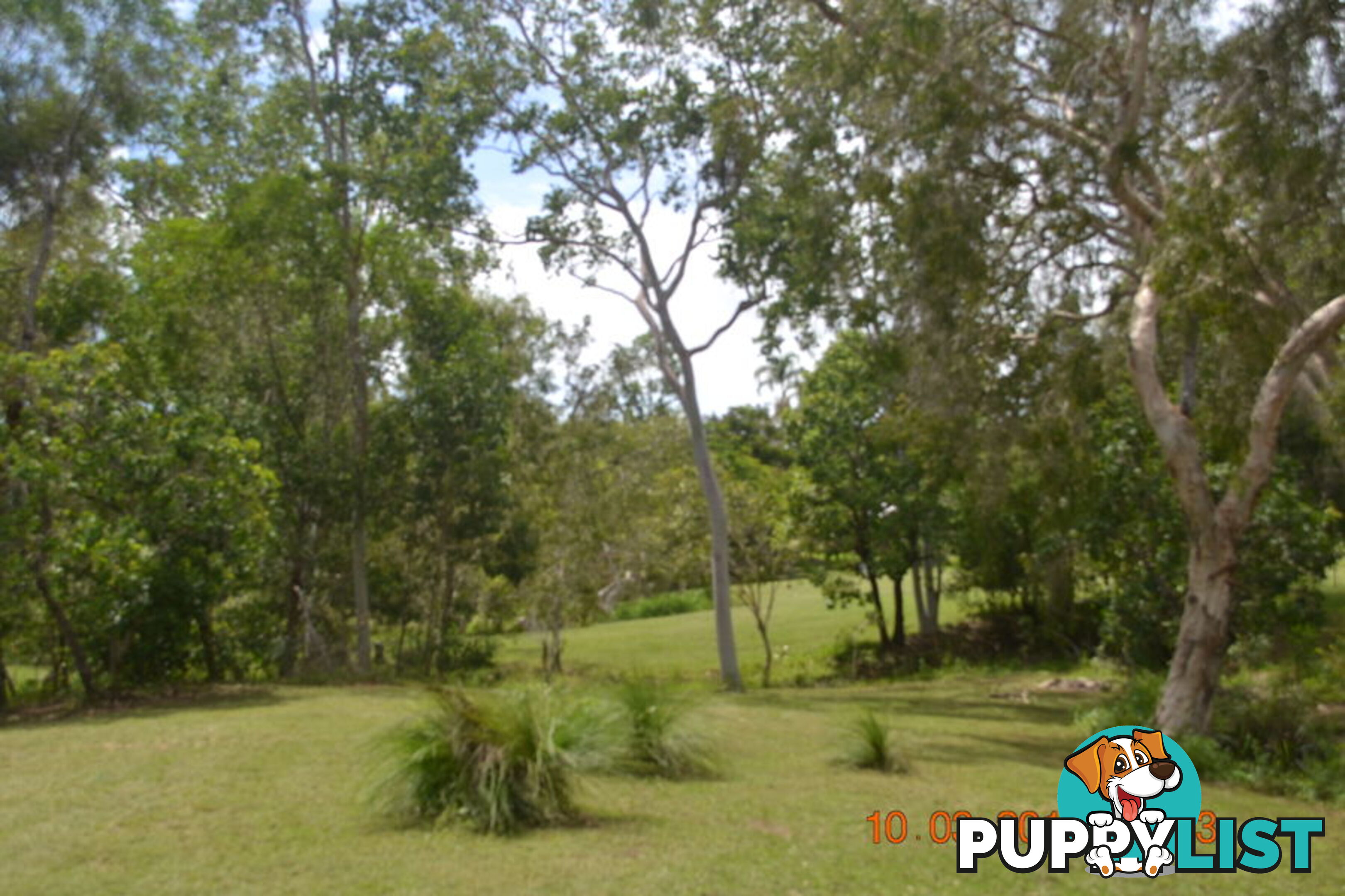 293 Ocean Parade BALGAL BEACH QLD 4816