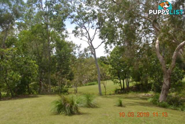 293 Ocean Parade BALGAL BEACH QLD 4816