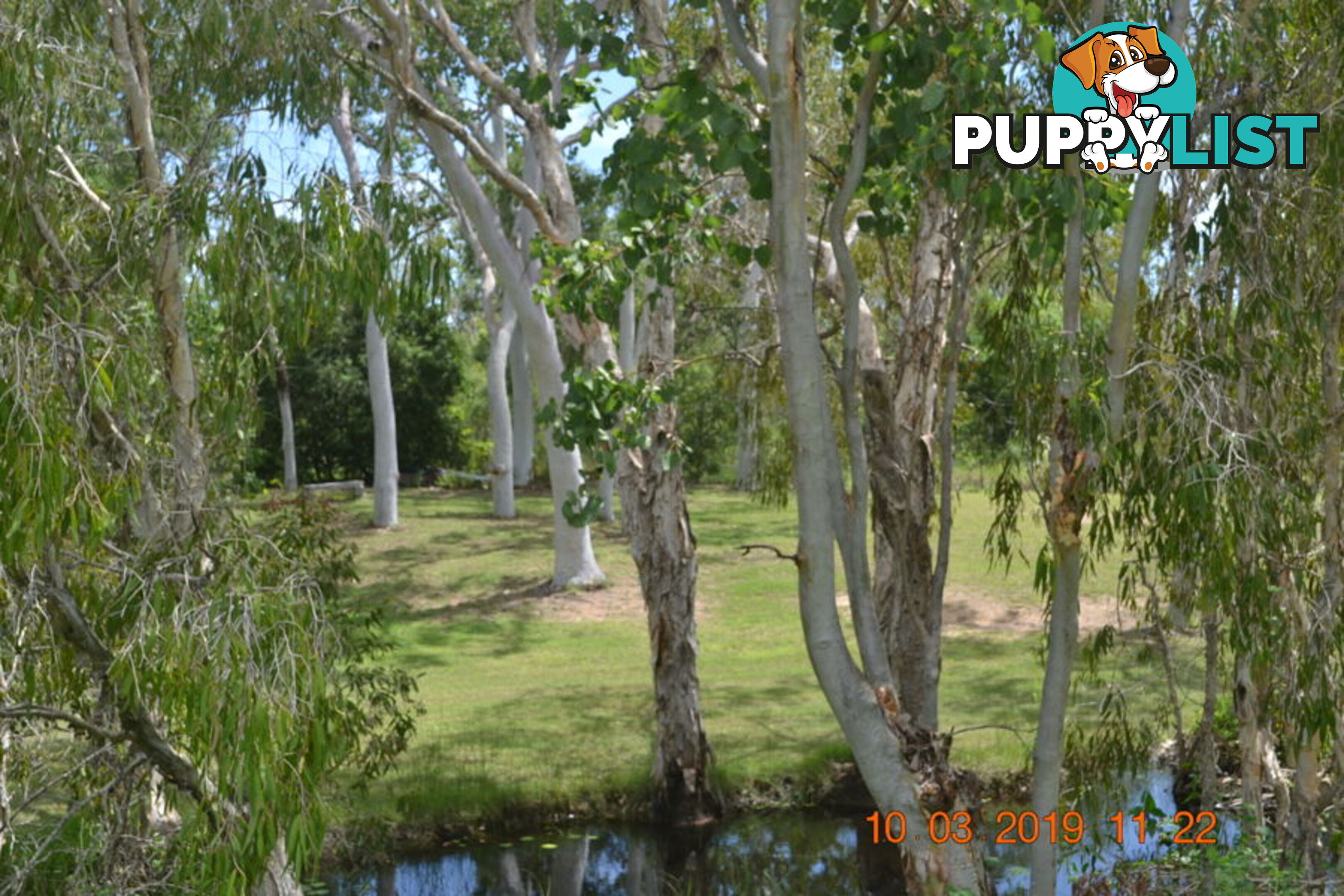 293 Ocean Parade BALGAL BEACH QLD 4816