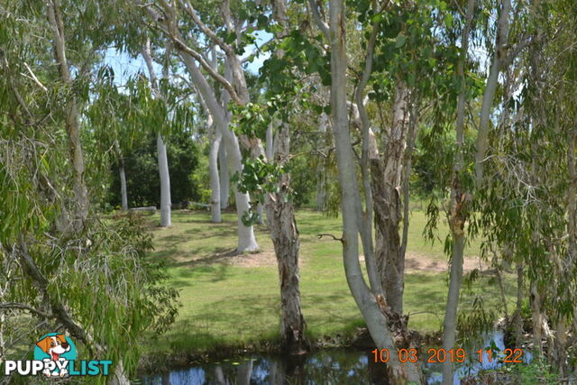 293 Ocean Parade BALGAL BEACH QLD 4816