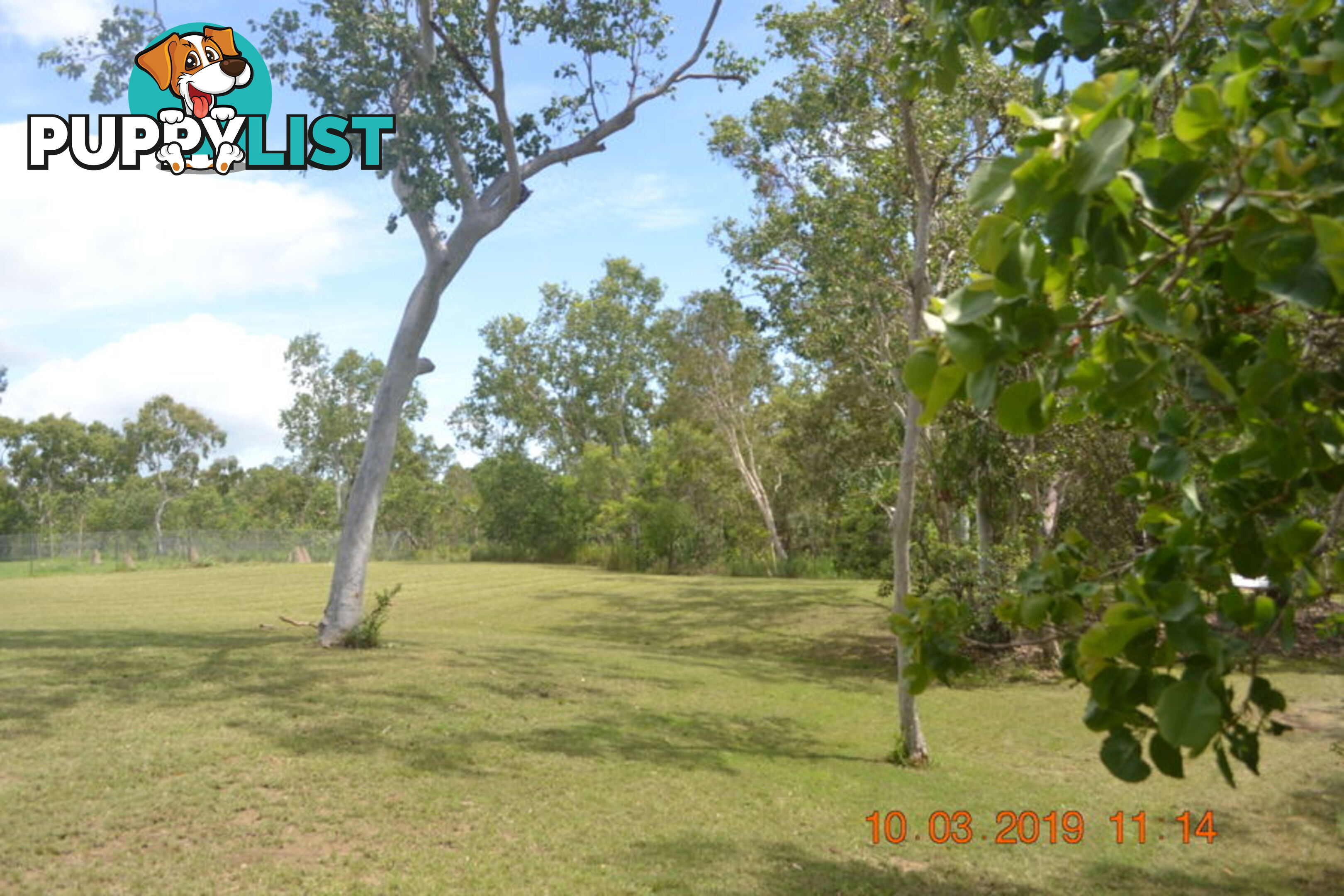 293 Ocean Parade BALGAL BEACH QLD 4816