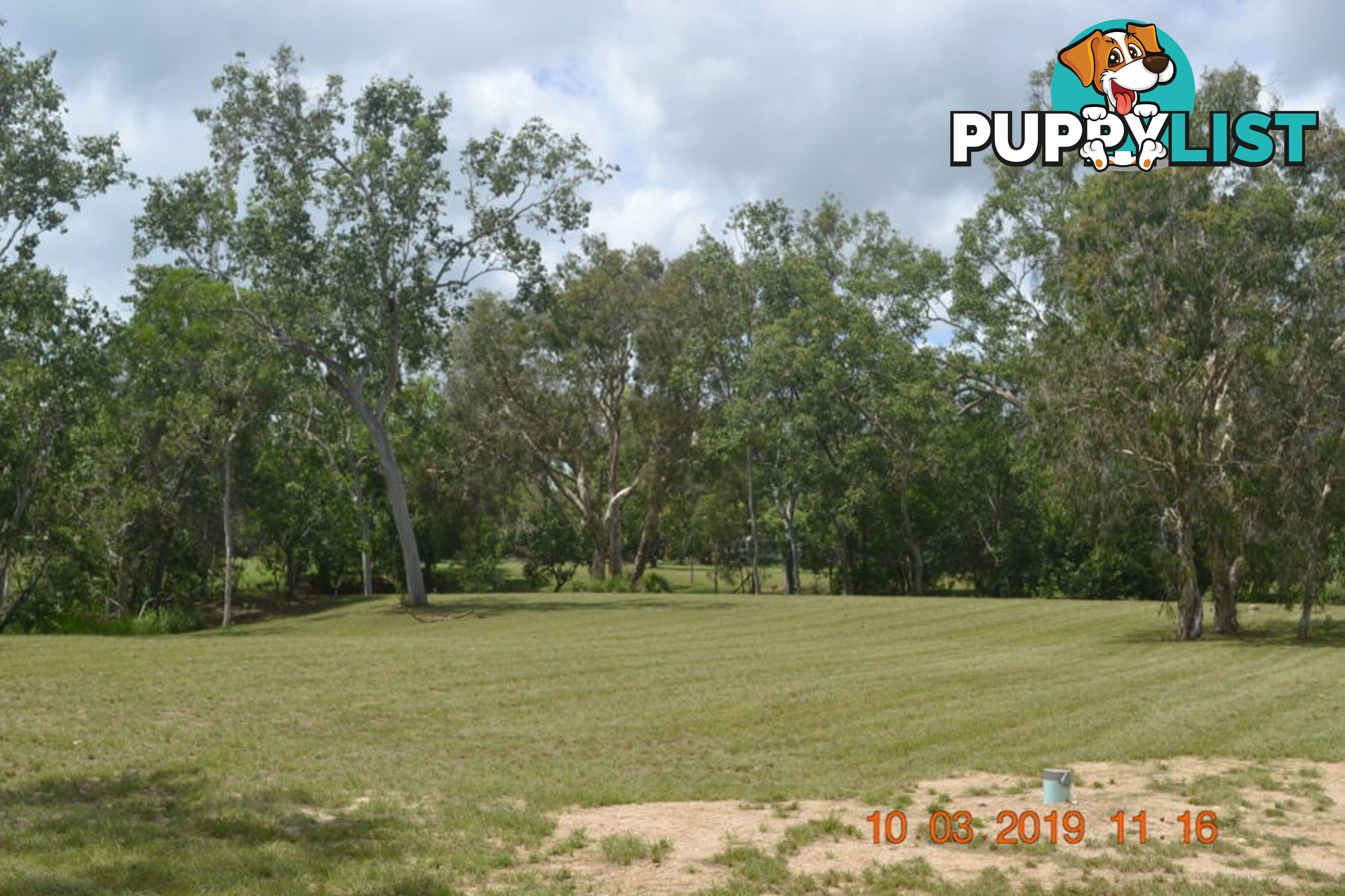 293 Ocean Parade BALGAL BEACH QLD 4816