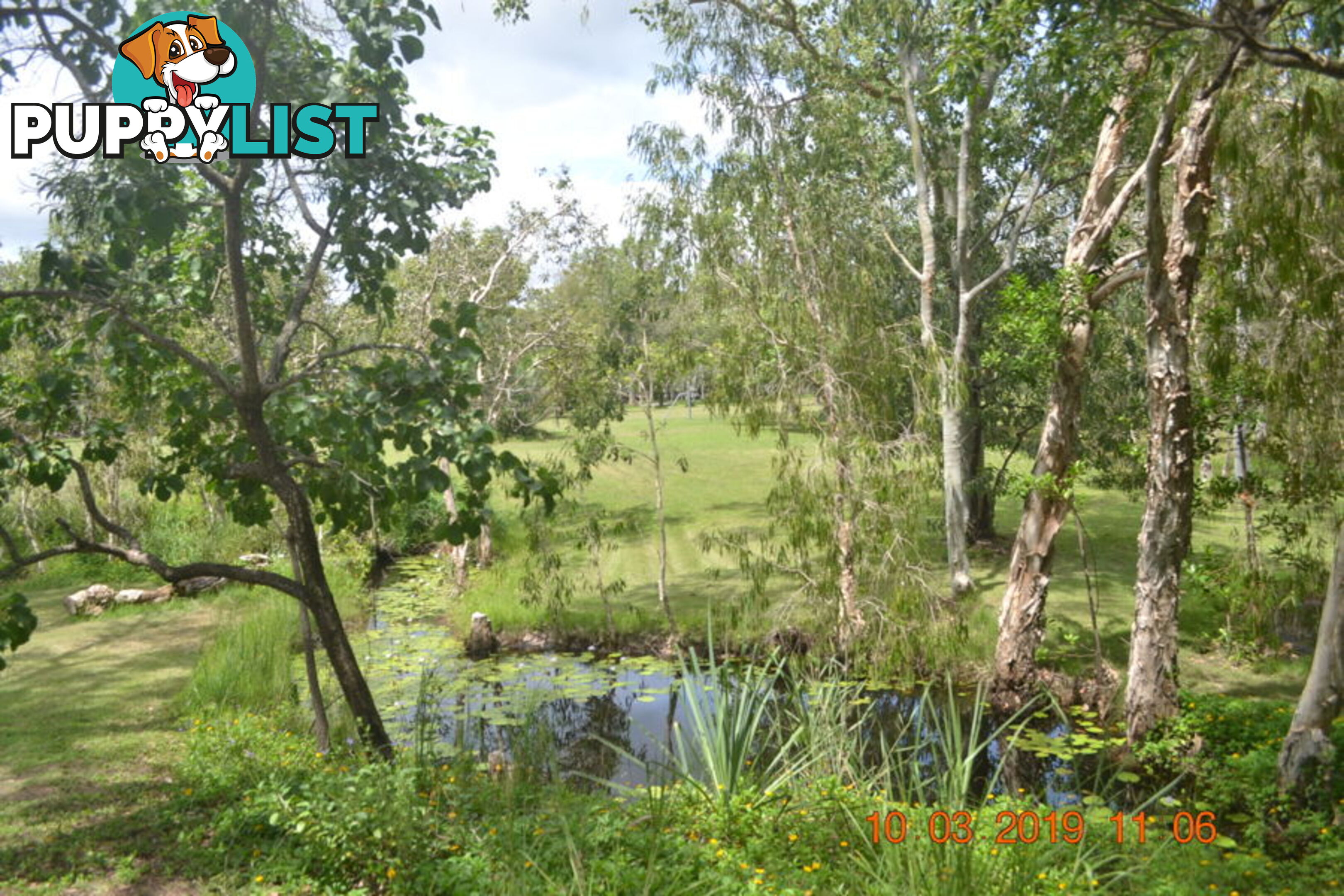 293 Ocean Parade BALGAL BEACH QLD 4816
