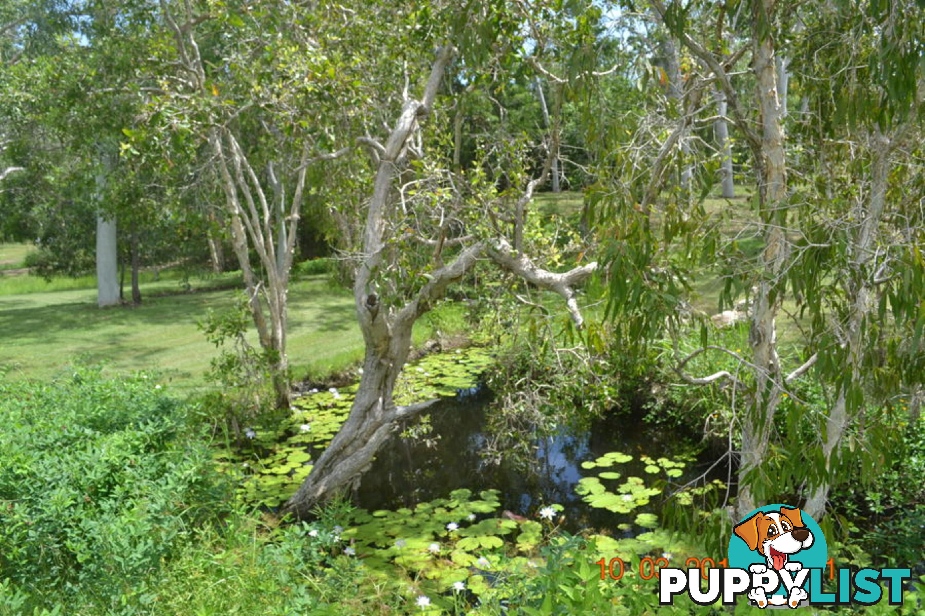293 Ocean Parade BALGAL BEACH QLD 4816