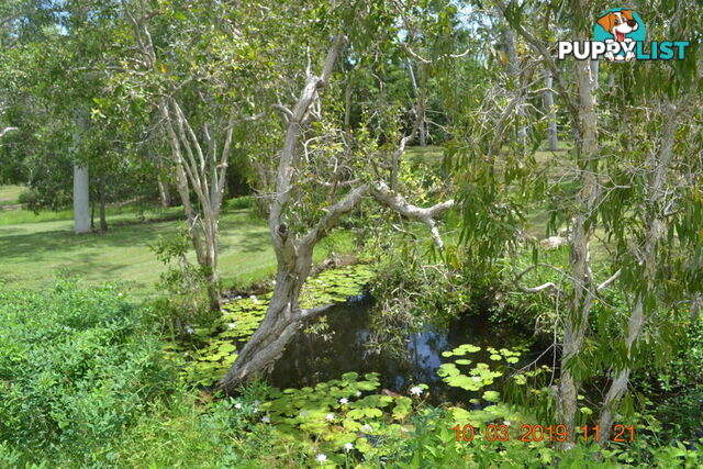 293 Ocean Parade BALGAL BEACH QLD 4816