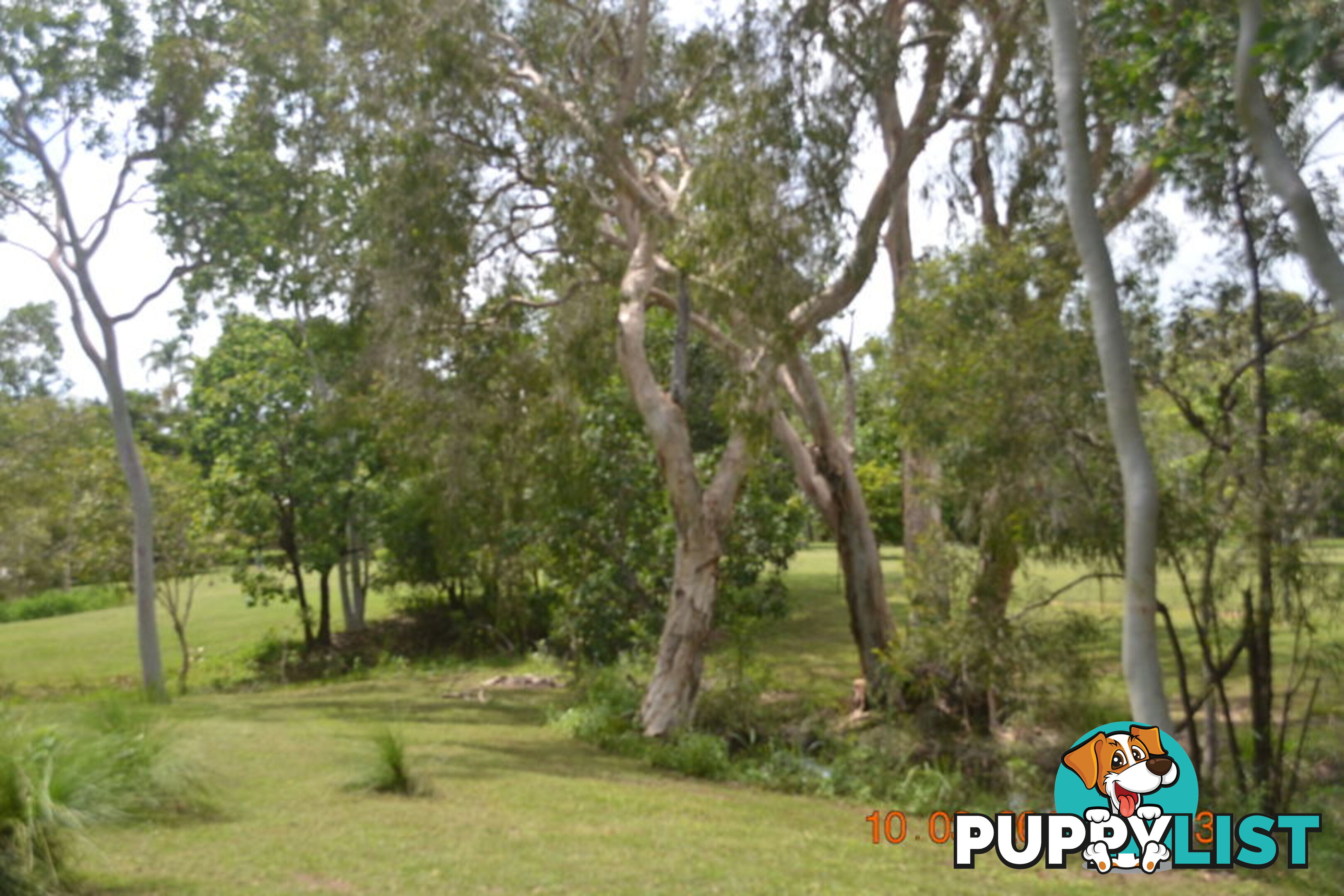 293 Ocean Parade BALGAL BEACH QLD 4816