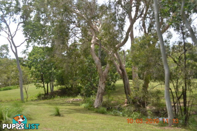 293 Ocean Parade BALGAL BEACH QLD 4816